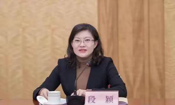 漂亮女局长，权力与魅力的最新章节交织